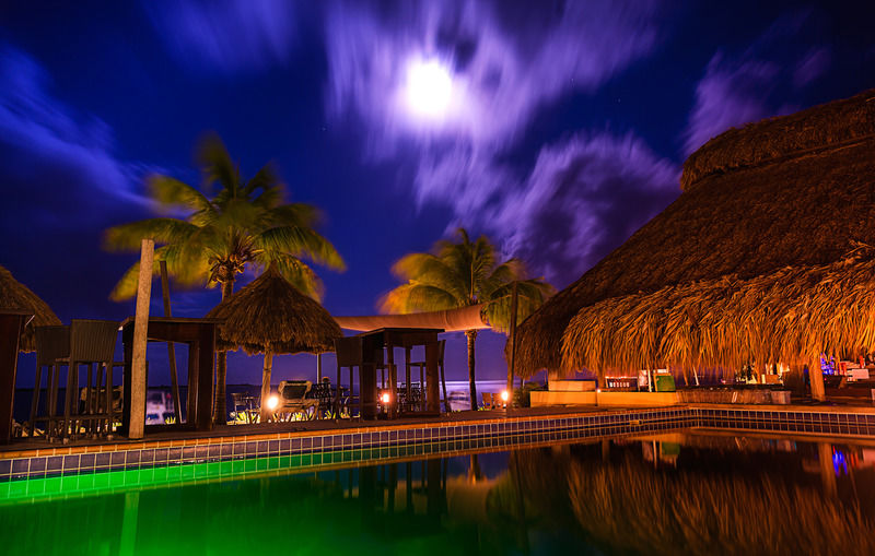 Buddy Dive Resort Kralendijk  Exterior photo