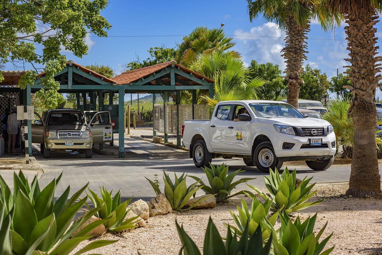 Buddy Dive Resort Kralendijk  Exterior photo
